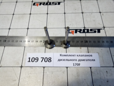 Комплект клапанов дизельного двигателя 170F